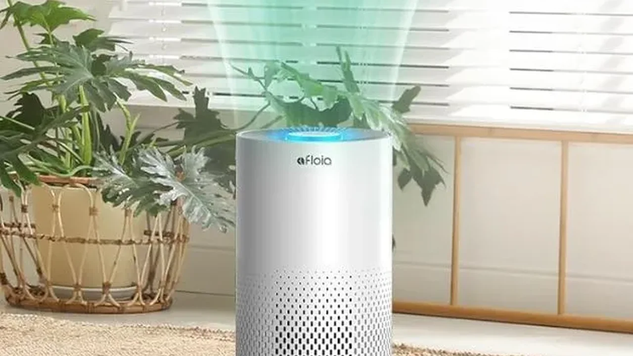Close up on a plate of mashed potatoes, topped with baked pork chops with cream of mushroom soup, and a side of green beans.